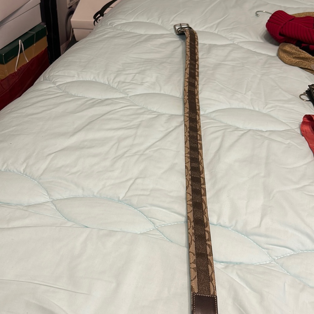 Coach belt